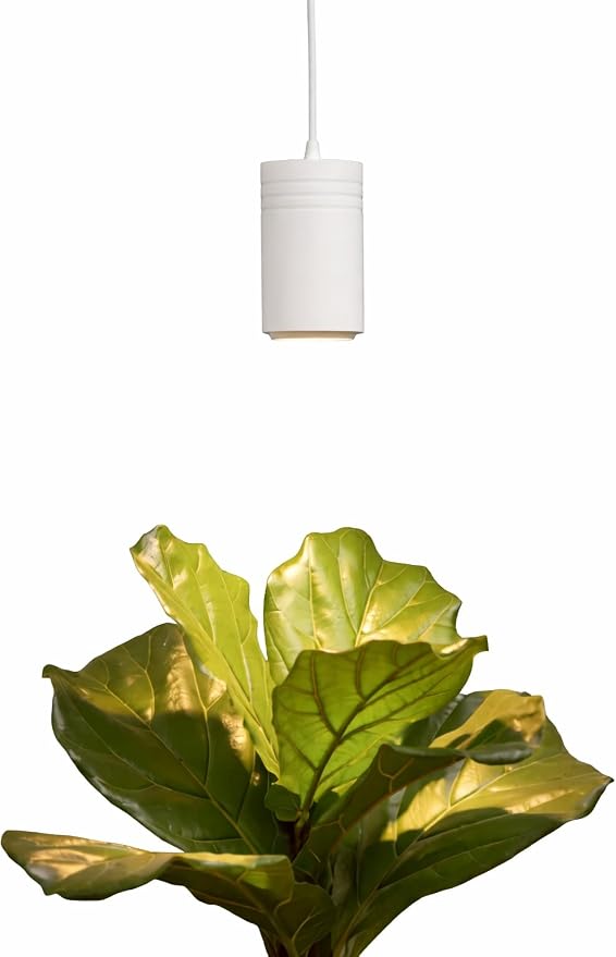 A white cylindrical pendant hangs from a slim white cord above broad green leaves.
