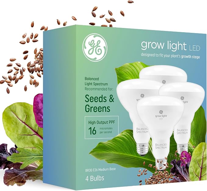 A green-and-blue GE box displays four white flood-shaped bulbs with screw bases.