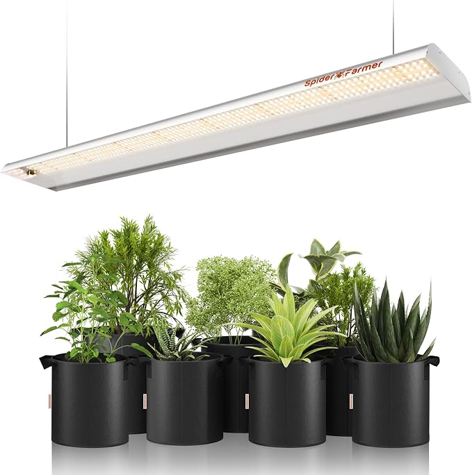 A long, white Spider Farmer fixture hangs above several green plants in black containers.